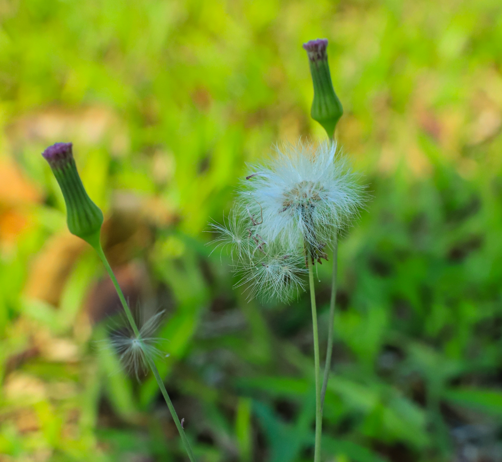 5月27日16:00起 对口征集志愿开始！广西物流职业技术学院还有名额