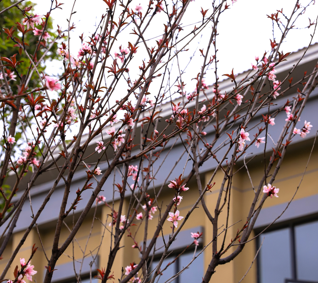 5月27日16:00起 对口征集志愿开始！广西物流职业技术学院还有名额